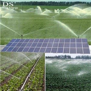 Pwmp Dŵr Pweru Panel Solar ar gyfer Dyfrhau Tir